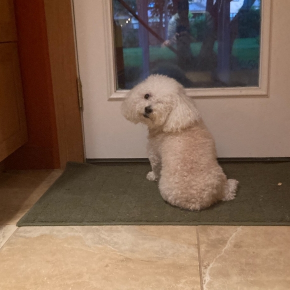 Meet your Posher, - Picture 5 of 5